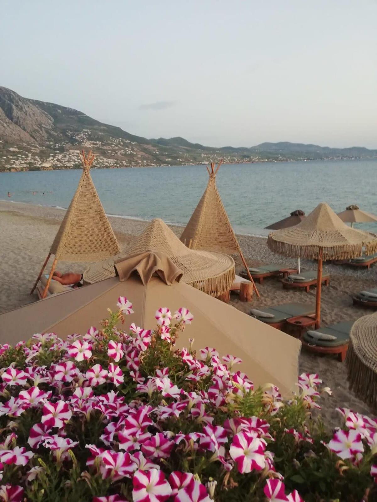 Apartment Escape To Kalamata's Old Your Urban Oasis *